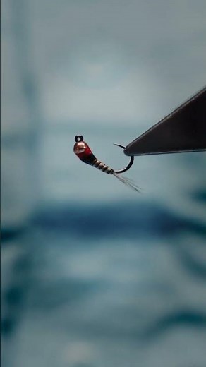 Learn how to tie the Spanish Bullet with Davie McPhail. The full video is on our channel.