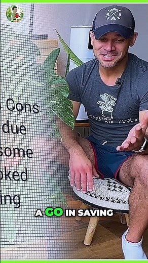 Monstera Brown Spots: Causes & Fixes to Save Your Plant