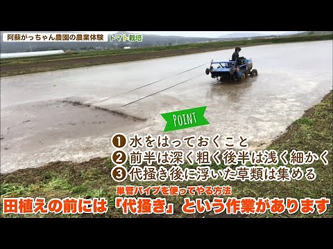田植えの前には代掻きという作業があります【水田】【阿蘇がっちゃん農園の農業体験学校】