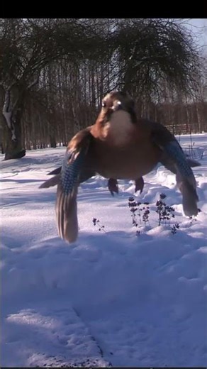 When the Neighbors Show Up Unannounced…