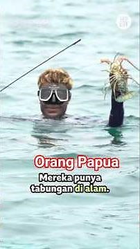 Papuans do not save in banks