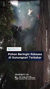 Pohon Beringin Raksasa di Gunungsari Terbakar, Arus Lalu Lintas Sempat Terganggu
