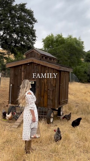 65K views · 2K reactions | The only ladder I want to climb is the one to reach the top of the peach tree ✨ #corporatelife #climbtheladder #crunchymom #homestead #farm #cottagecore #cottagecoreaesthetic #cottage #homeschool #slowlivinglifestyle #slowlivingmovement | Thermaland Oaks | Facebook