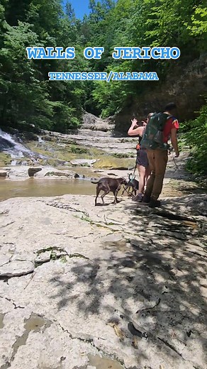 The Walls of Jericho are located on the Tennessee Alabama state line. #outdooradventuresintennessee #simplelifebigadventures #Tennessee #exploretennessee #tennesseewaterfalls #waterfall #waterfalls #hike #hiking #wallsofjericho | Outdoor Adventures in Tennessee
