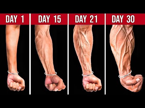 Forearm Exercises for Beginners