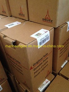 [Hot Item] Deutz Engine Parts for F6l912W F4l912W F10L413fw F8l413fw F12L413fw 1011 2011 1013 1015 2012 Series