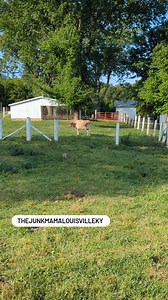 My office today. Delivery to a farm. Old wringer washers are still used by the Amish community. They are the holy Grail | the junkmama