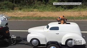 1.1K reactions · 1.3K shares | Double take on the highway...is that a...