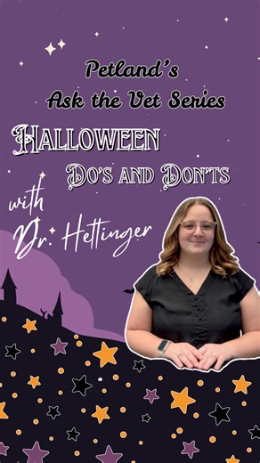 As we wrap up spooky season, Dr. Hettinger is here with some last minute safety tips for our pets! 👻🐶🕸️ #petland #petlandpets #petlandpups #petlandpuppies #vettips #safetytips #askthevet #halloween #spookyseason #halloweensafety | Petland Florence
