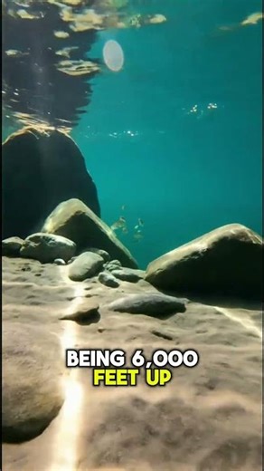 Lake Tahoe Underwater: The Secret Emerald World Revealed! 🏔️💎