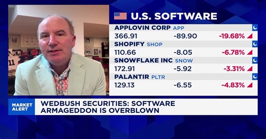 Dan Ives: Software 'doomsday' scenario is extremely overblown