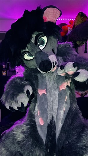 Romeo | Fursuits & Art on Instagram: "Trust me gang🙏🤞 It’s been awhile since I put on my personal fursuit :3 Pup the wolfdog!! I made his head years ago, one of these days I’ll remake him. His digitigrade bodysuit was the first one I’d ever made! He’s still cute tho :3 If you like my fursuit work, I’m opening for quotes in a couple days ❤️‍🔥 #fursuitmaker #digitigradefursuit #fursuiting #cutefursuit #fursonaartwork #wolffursuit #fursuitmaking #werewolfprince666"