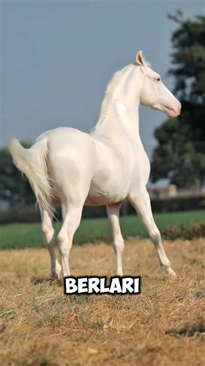 Crazy Facts About Horse Strength and Endurance! #uniquefacts