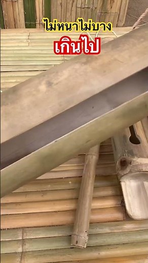 Bamboo propagation: Choose the right wood - how to propagate bamboo plant #diy #home and garden #...