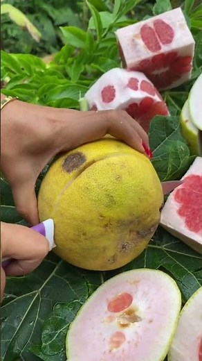 Pomelo Fruit #pomelofruit