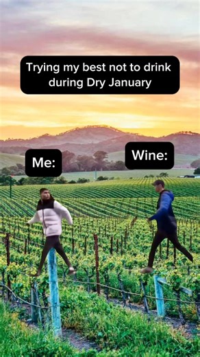 Taylor Camp | Men’s Lifestyle | Napa Valley on Instagram: "Me: “I’m doing Dry January this year. I need discipline. I need clarity. I need to prove to myself that I’m stronger than fermented grape juice.” Wine: “Sure babe. Whatever helps you sleep at night.” proceeds to do a full gymnastics floor routine across the vineyards, sticks the landing, and blows a kiss toward the tasting room patio Meanwhile I’m over here trying to look composed while my brain is running a cost-benefit analysis of whet