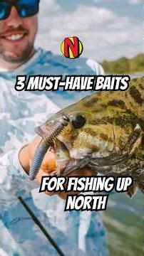 3 Baits You NEED For Fishing Up North - Northland Necessities For The Northern Fisheries