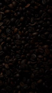 Download coffee bean background for free