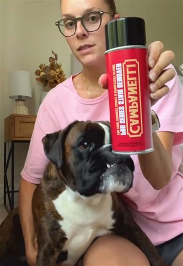 Spray, point, and conquer—Campanelli’s stain remover trio lifts messes and odors with pro-level power! 🧼✨ #LoveQVC #cleantok #cleaningtiktok #cleaninghacks #stainremover #tiktokshopfinds