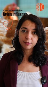 #AvianInfluenza (or bird flu) is still spreading across Africa, the Americas, Asia, and Europe. Updates for 24/09 - 27/09: - 13 outbreaks in poultry and 48 in non-poultry birds and mammals were reported in 16 countries, with 190k poultry birds lost. - Sporadic human cases continue, including recent ones in Ghana and Cambodia. - As the new seasonal wave begins this October, we expect a rise in outbreaks. Catch the full report: https://woah.org/en/document/high-pathogenicity-avian-influenza-hpai-s