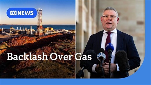 Government faces backlash after approving Woodside gas project extension