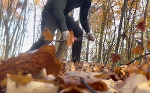 【Tony Triggers】ASMR | Ping是500 Pt.14 森林中的快速和混乱触发【补档】