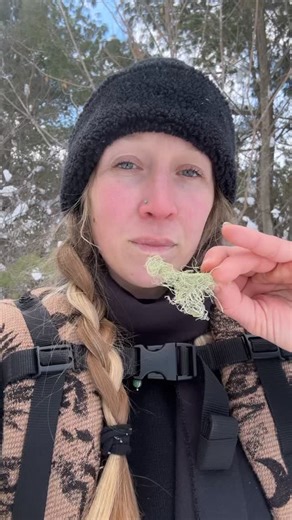 Roots Revival on Instagram: "A little Lichen Love 💚 I’ve been working with usnea for over half a decade now, since it called to me from the forest floor the fall of 2020, saying the world needs this medicine, and indeed it was potent ally for that certain Rona virus in my community. And every year my relationship deepens, there’s a mutual connection and respect that I have for this beautiful lichen, with the old trees that it grows with. This beautiful symbiotic connection of algae and fungus, 