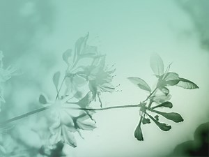 Angels, Demons, And C.S. Lewis