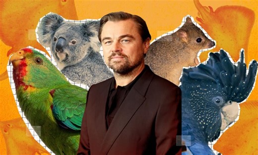 Why does Leonardo DiCaprio care so much about Australian wildlife?