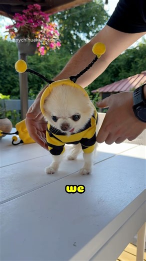 25K views · 1.1K reactions | A quick tutorial on how to remove the...