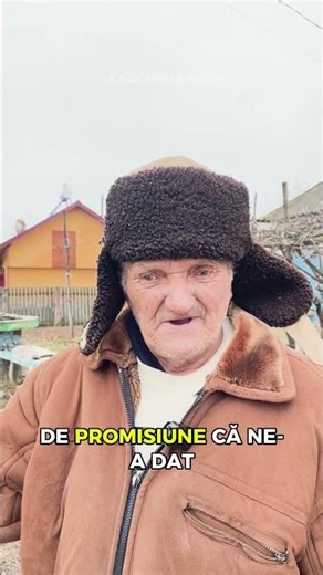 We keep our promise🥹Come join us. One ton of wood = 700 lei 🪵