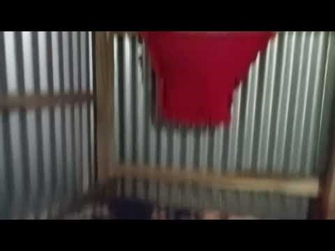 My home and my bedroom