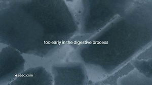 Seed Daily Multivitamin TV Spot, 'Key Nutrients'