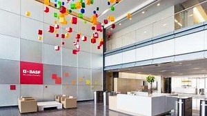 Working at BASF