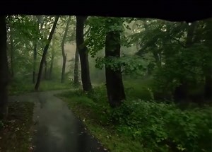 Calmness 🌿 | Serenity