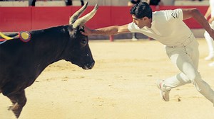 LE GRAU-DU-ROI Les arènes présentent la saison 2024 des courses camarguaises