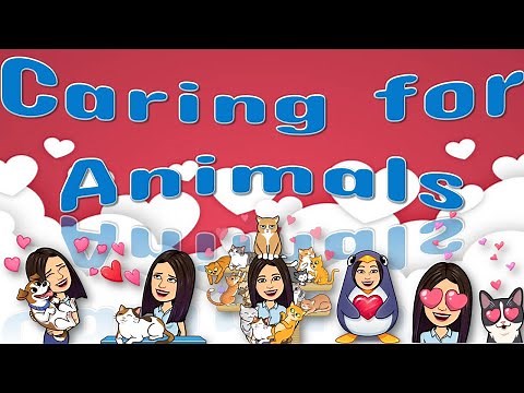 Caring for Animals | Science | Matatag | Teacher Beth Class TV