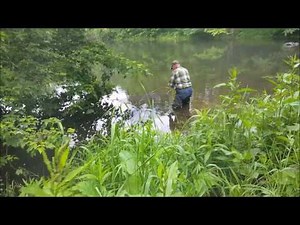 Turtle trap made with old dog pen