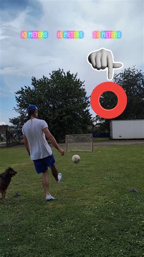 Only Net Challenge without Shoes ⚽🕸️🥅 Tap the Circle Really Fast 🖱️🐕🙌