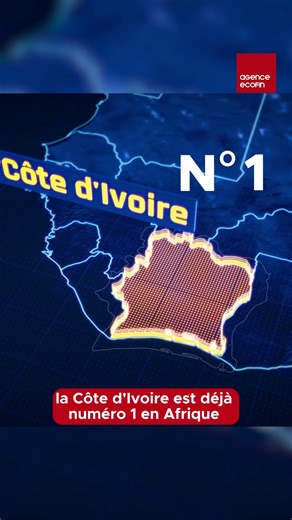 Hévéa : la Côte d’Ivoire passe à la vitesse supérieure Le pays prévoit 500 000 hectares supplémentaires de plantations. Déjà numéro 1 en Afrique et 3ᵉ producteur mondial, l’objectif est clair : renforcer sa domination sur le marché mondial du caoutchouc. #CôteDIvoire #Hévéa #AgenceEcofin | AgenceEcofin