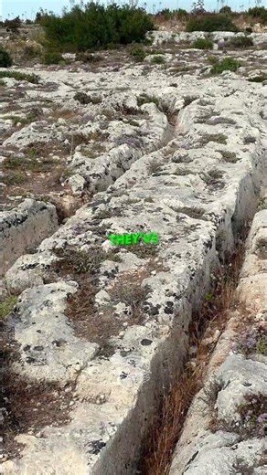 Malta’s Strange Underwater Tracks 🏝️