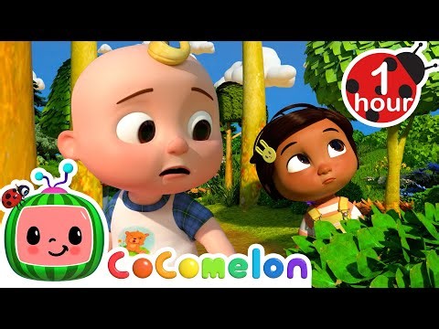 Teddy Bear Hide and Seek! 🐻 Best Animal Videos for Kids | Kids Songs and Nursery Rhymes