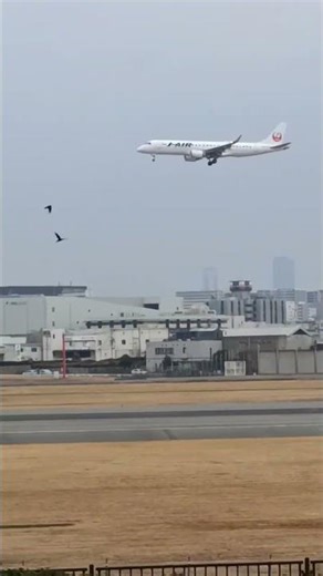 See it at Itami Sky Park #Osaka Airport #Japan