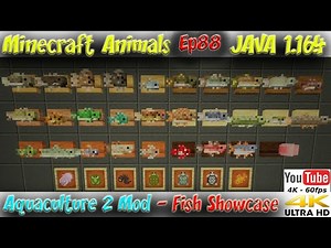 Aquaculture 2 Mod 1.16.5 Showcase 30 x Fish for Minecraft 1.16.5 Minecraft Animals Ep88
