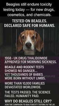 why do beagles cry Thalidomide #shorts