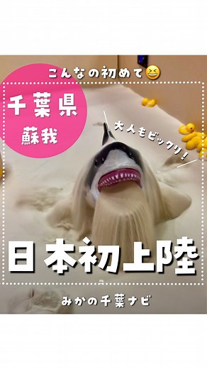 みかの千葉ナビ𓇼千葉県のお出かけガイドブック🚩 | 今月6日にOPENしたばかりのここ👇 トイロパークは千葉県では初の 体験型のおもちゃ売場🧸 その中に、リトルプラネットと サンドエリアがOPEN!! サンドエリアには日本では ここだけしか遊べない 『流動床』の砂場ができたの✨ 流動床ってなに！？ と思ってたんだけど、... | Instagram