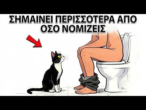 Αν Η Γάτα Σου Σε Ακολουθεί Στο Μπάνιο, Προσπαθεί Να Σου Πει Αυτό…