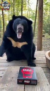 반달곰 원칩 챌린지… 도리도리 난리남ㅋㅋ 1 #반달곰 #웃음 #animals