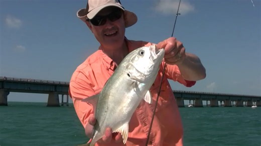Jack crevalle and black grouper fishing in the Florida Keys