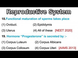 Reproductive system mcq || Developmental Biology